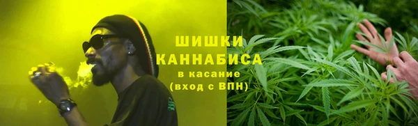 прущие грибы Карталы