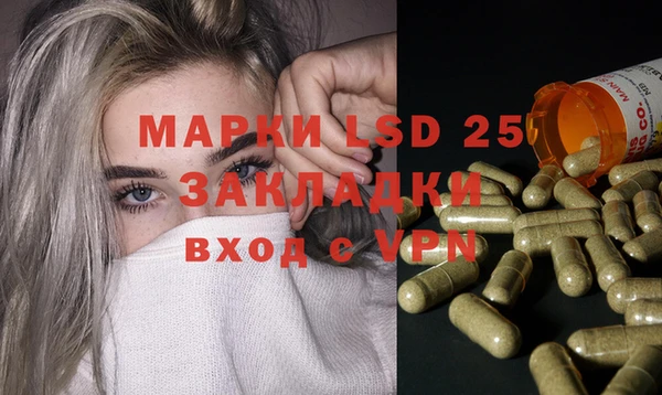 прущие грибы Карталы