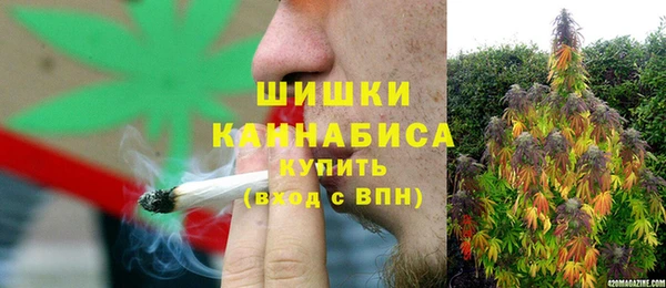 прущие грибы Карталы