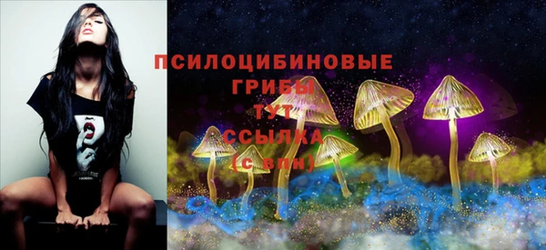 прущий лед Касимов