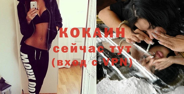 прущие грибы Карталы