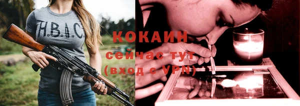 прущие грибы Карталы