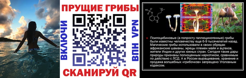 Купить где Звенигород Галлюциногенные грибы MAGIC MUSHROOMS
