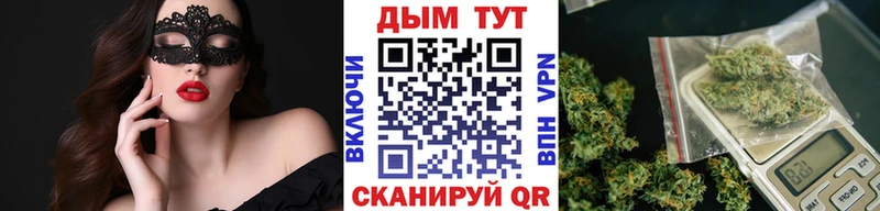 Купить  Звенигород  Конопля AK-47 